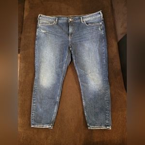 Silver Jeans Suki Skinny Crop 22